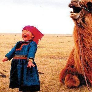 Meet your Posher, Wendy